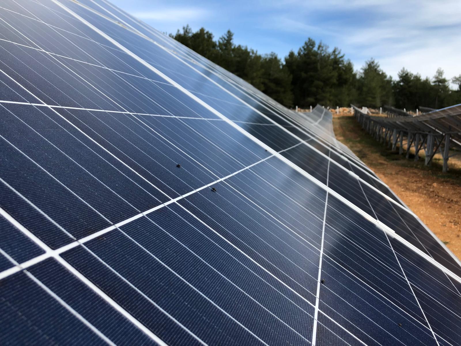 Solarmodule Nahaufnahme
