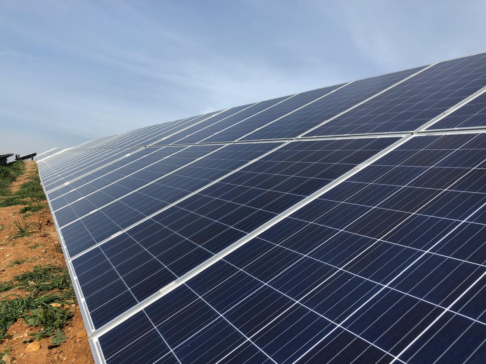 Freiflächensolarpark — Solarmodule auf Feldfläche